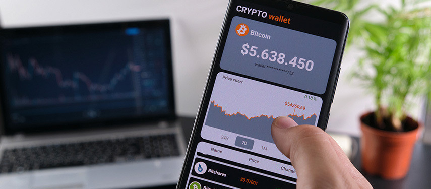 Best crypto wallet to use in usa