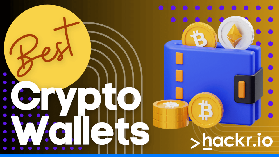 Best crypto wallet for new coins