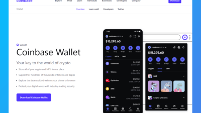 Best no fee crypto wallet