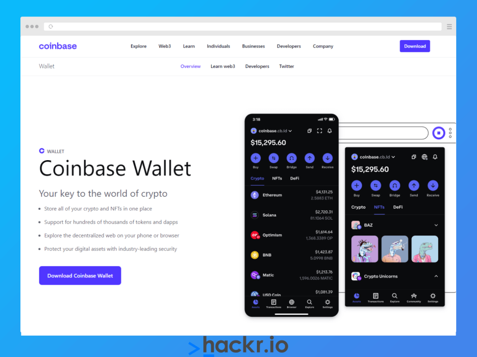 Best no fee crypto wallet