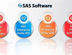 sofware sas