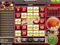 Palm Harbor Personal Injury Lawyer Your Guide