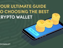 Best Crypto Wallet For New Coins Essential Guide