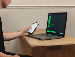 Best Place For Staking Crypto Insights And Opportunities