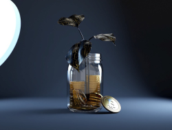 Best self directed crypto ira A Comprehensive Guide