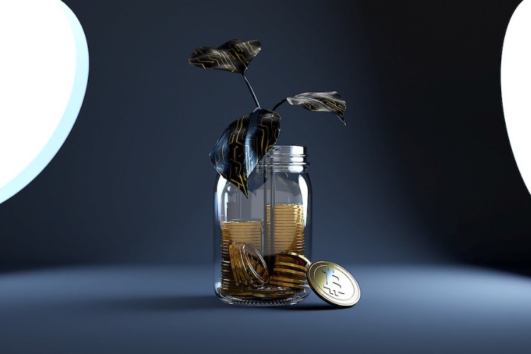 Best self directed crypto ira