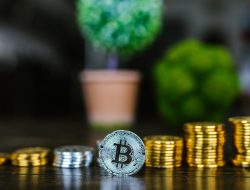 Best Place To Buy Crypto Reddit Insights And Advice