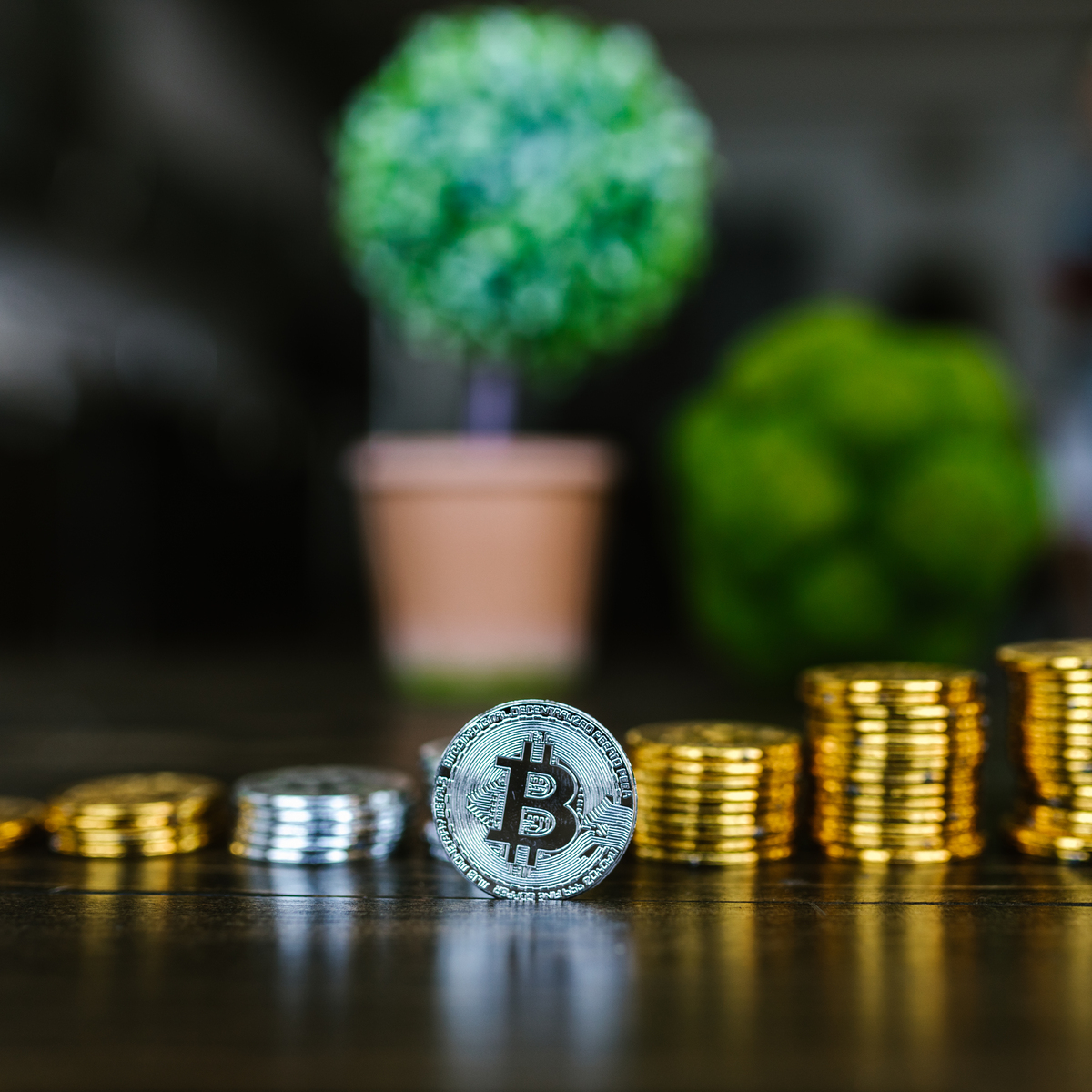 Crypto exchange incredibly networks noisy Crypto exchange incredibly networks noisy