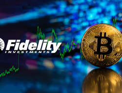 Best Fidelity Crypto Insights for Enhanced Investment