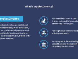 Best Vpns For Crypto Trading