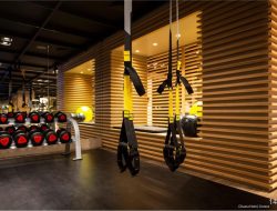 Johnson Fitness Des Peres Your Fitness Destination