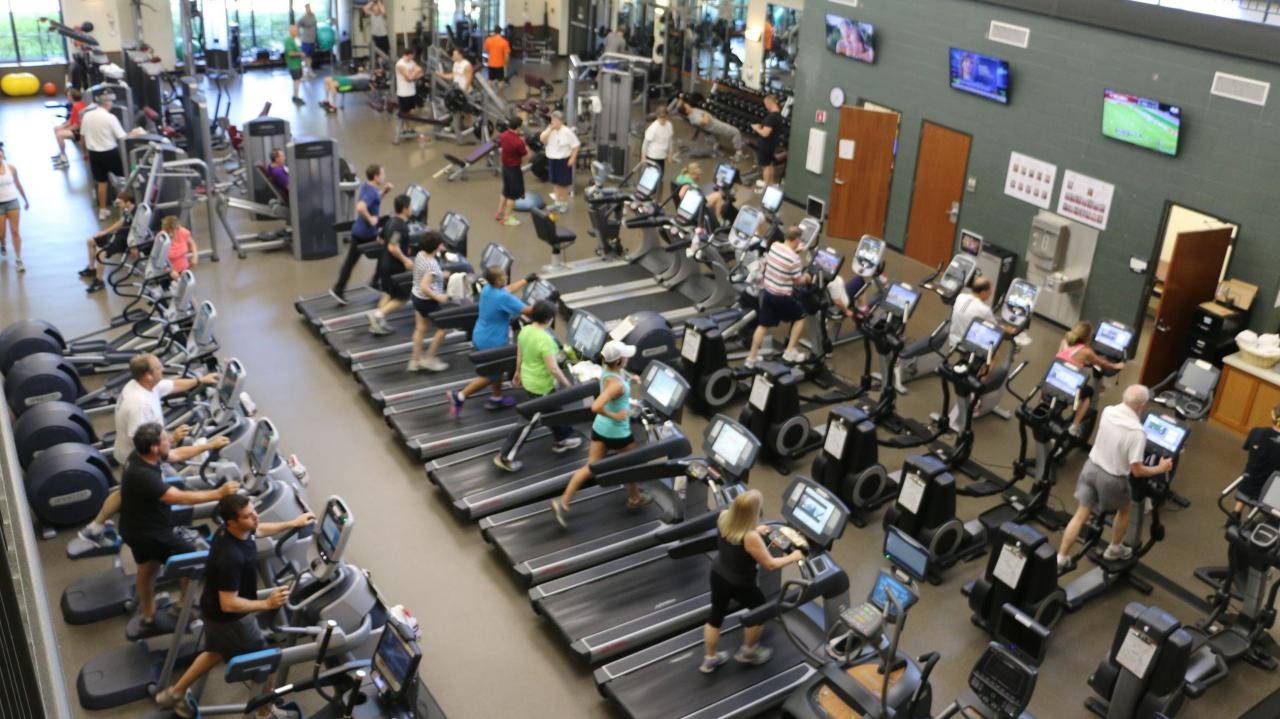 Johnson fitness des peres