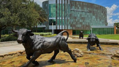 $20M awarded for new opportunities for students in cybersecurity | wtsp.com