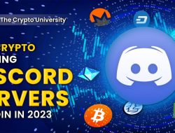 Crypto Trade Discord Your Ultimate Trading Hub