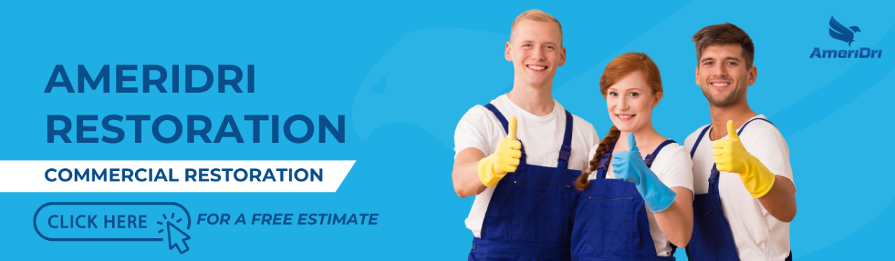 Best repipe company near me