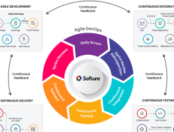 Customized Software Application Development Made Easy