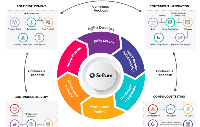 Customized software application development