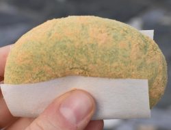 Reddit Mochi Health Your Guide to Wellness