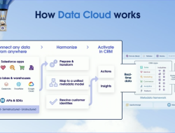 Data Cloud Help For Seamless Translation Solutions