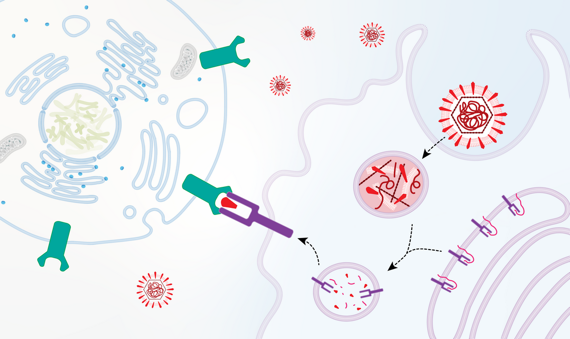 Mitx reaches mooc enrollments Mitx reaches mooc enrollments