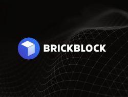 Bricks Crypto Revolutionizing the Future of Finance