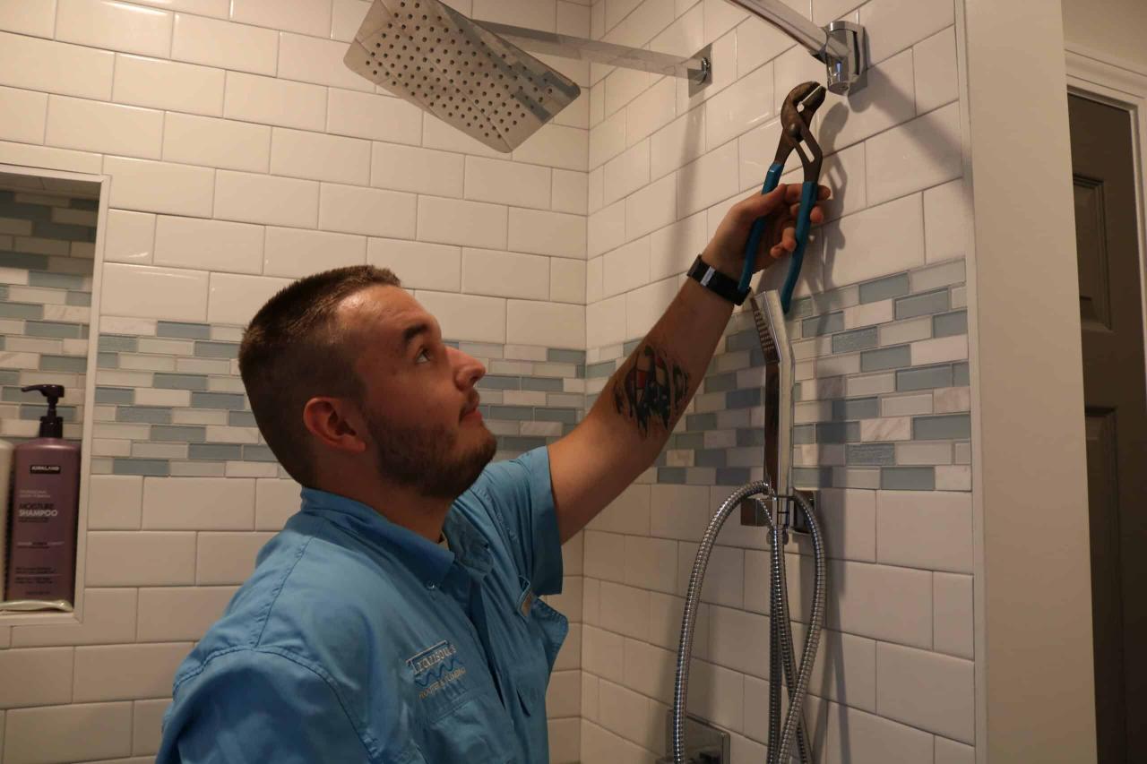 Rooter companies near me