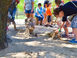 Find Fish & Wildlife Near Me