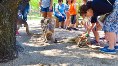 Fish and wildlife near me