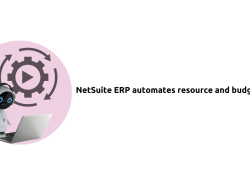 Netsuite Cloud Computing Revolutionizes Business Efficiency