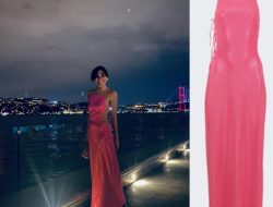 Cult Gaia Janelle Gown Effortless Elegance