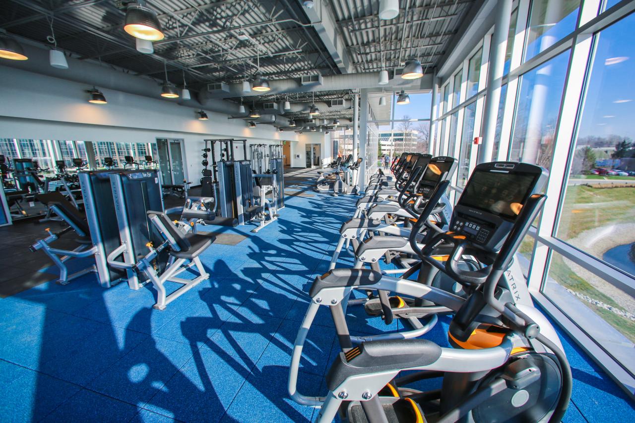 Fitness gallery park meadows