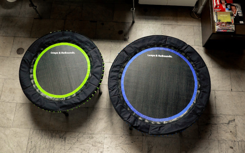 The leaps and rebounds mini fitness trampoline and rebounder