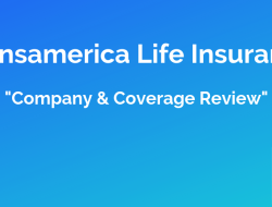 Transamerica Guaranteed Investment Option Secure Your Future