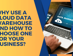 Cloud Data Warehouse Consultant Unlocking Data Insights