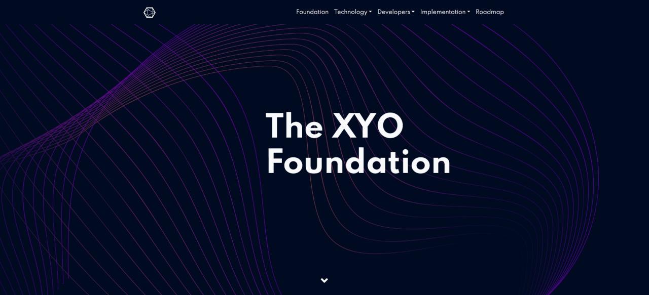 Coin xyo crypto