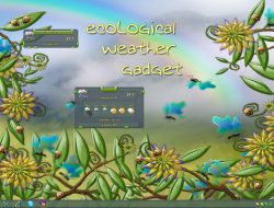 Weather Gadget Your Precision Forecast Partner