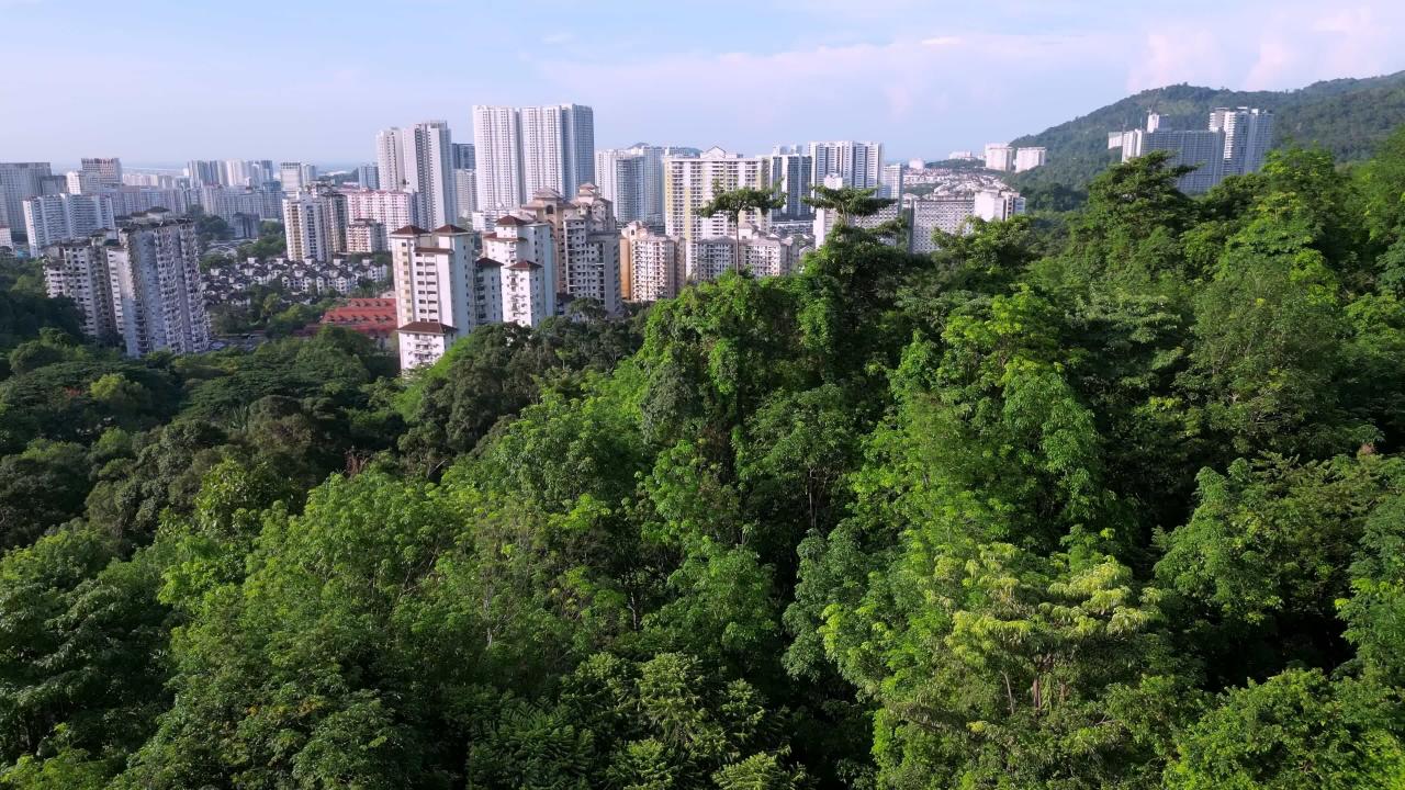 Urban jungle real estate