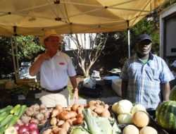 Charleston Culinary Tours Coupon Your Epicurean Adventure Awaits