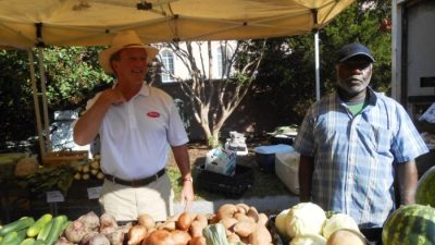 Charleston culinary tour downtown tours