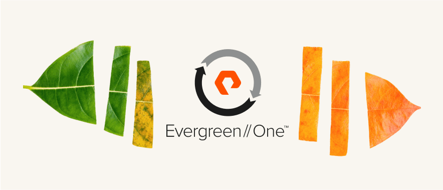 Pure storage evergreen one