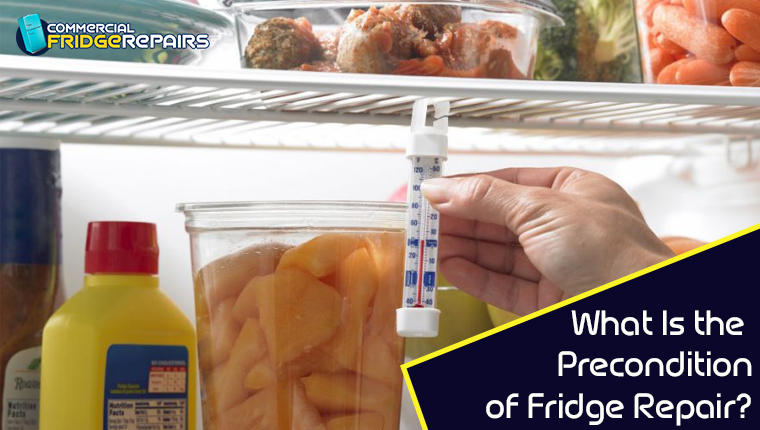 Repair paykel fridge refrigerator Repair paykel fridge refrigerator