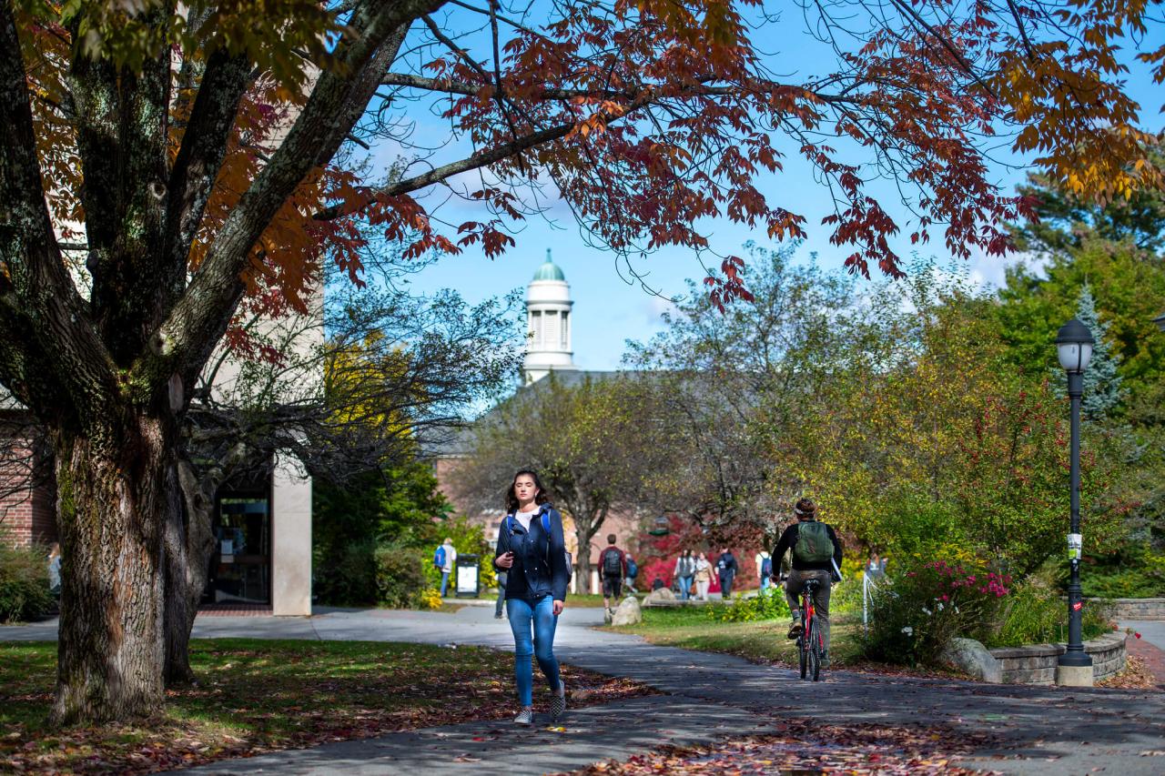 Umaine transfer application