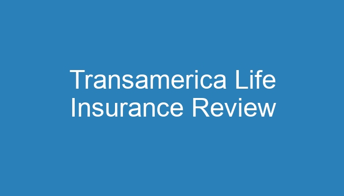 Transamerica guaranteed investment option