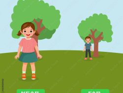 Near Me Window Company Your Local Experts