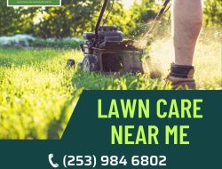 Top Lawn Weed Care Near Me