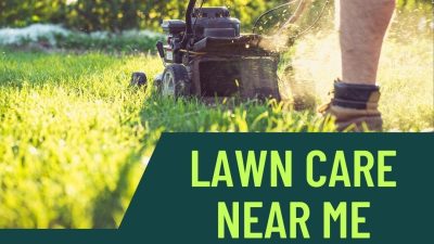 Top Lawn Weed Care Near Me