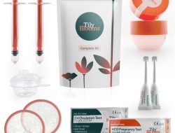 Get a Free Car Insurance Quote Today