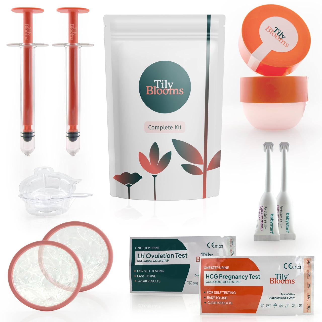 Easy Ways to Get to Port Everglades in Fort Lauderdale for a Cruise ...