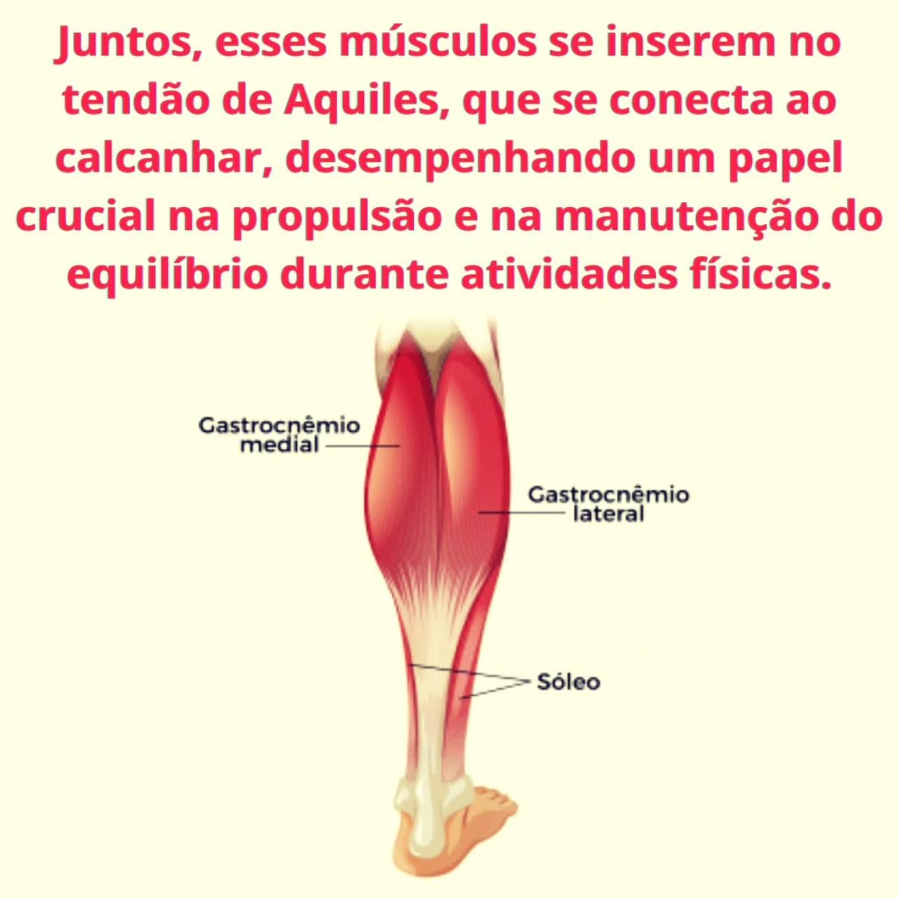 Pin em Social Pin em Social