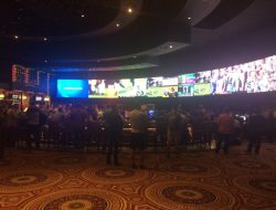 MGM Grand Race & Sports Book Experience the Thrill